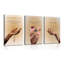 3 Piece Wrapped Canvas Print