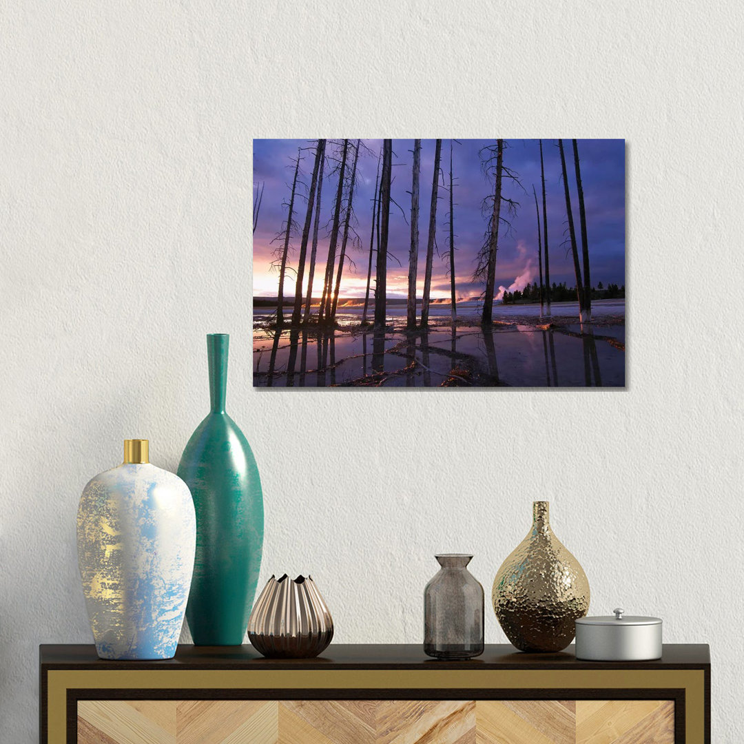 Dead Trees In Lower Geyser Basin At Sunset, Yellowstone National Park, Wyoming by Tim Fitzharris - Gallery-Wrapped Canvas Giclée on Canvas