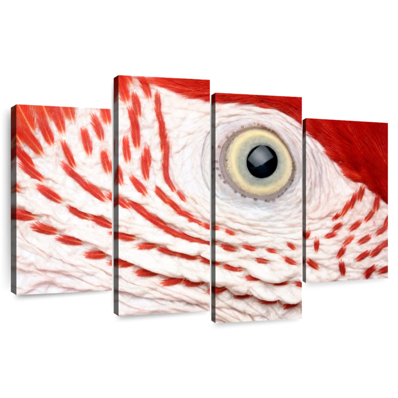 Brampt Macaw Parrot Eye, 22" H x 36" W