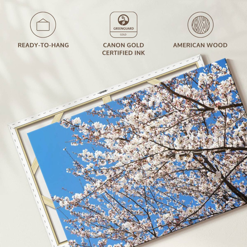 Harnek Japanese Cherry Blossom Tree, 32" H x 48" W