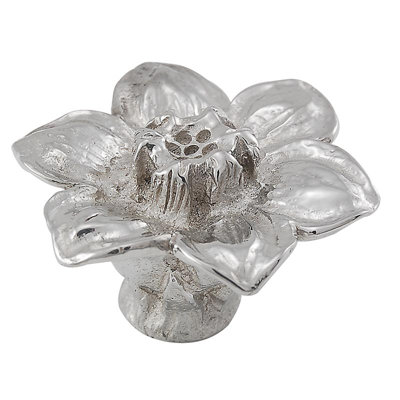 Carlotta Novelty Knob