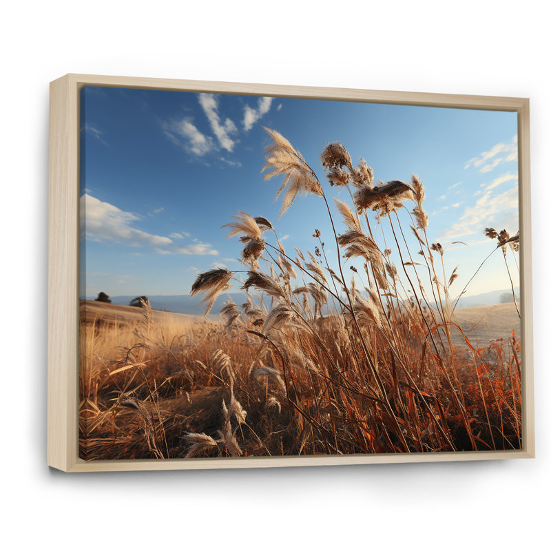 Paysage de prairie sur toile, Cadre naturel flottant, H 34 po x l 44 po