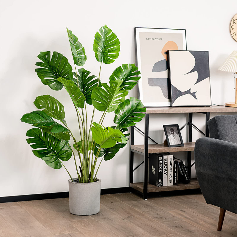 152cm Plant