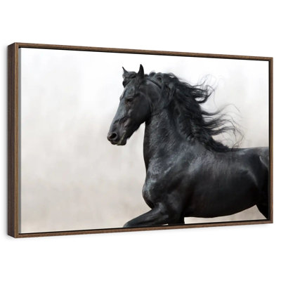 Cheval frison noir