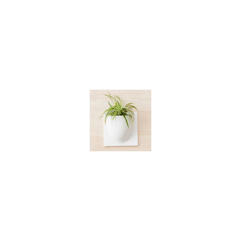 Wall Planter, White