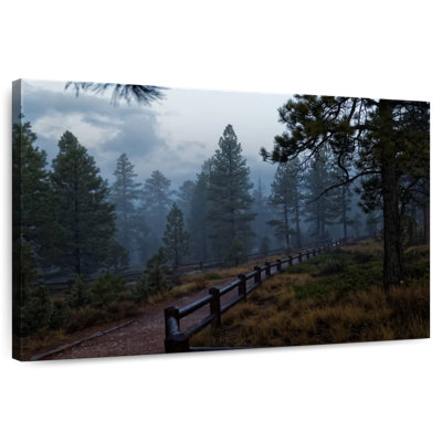 Alvord Forest Walkway
