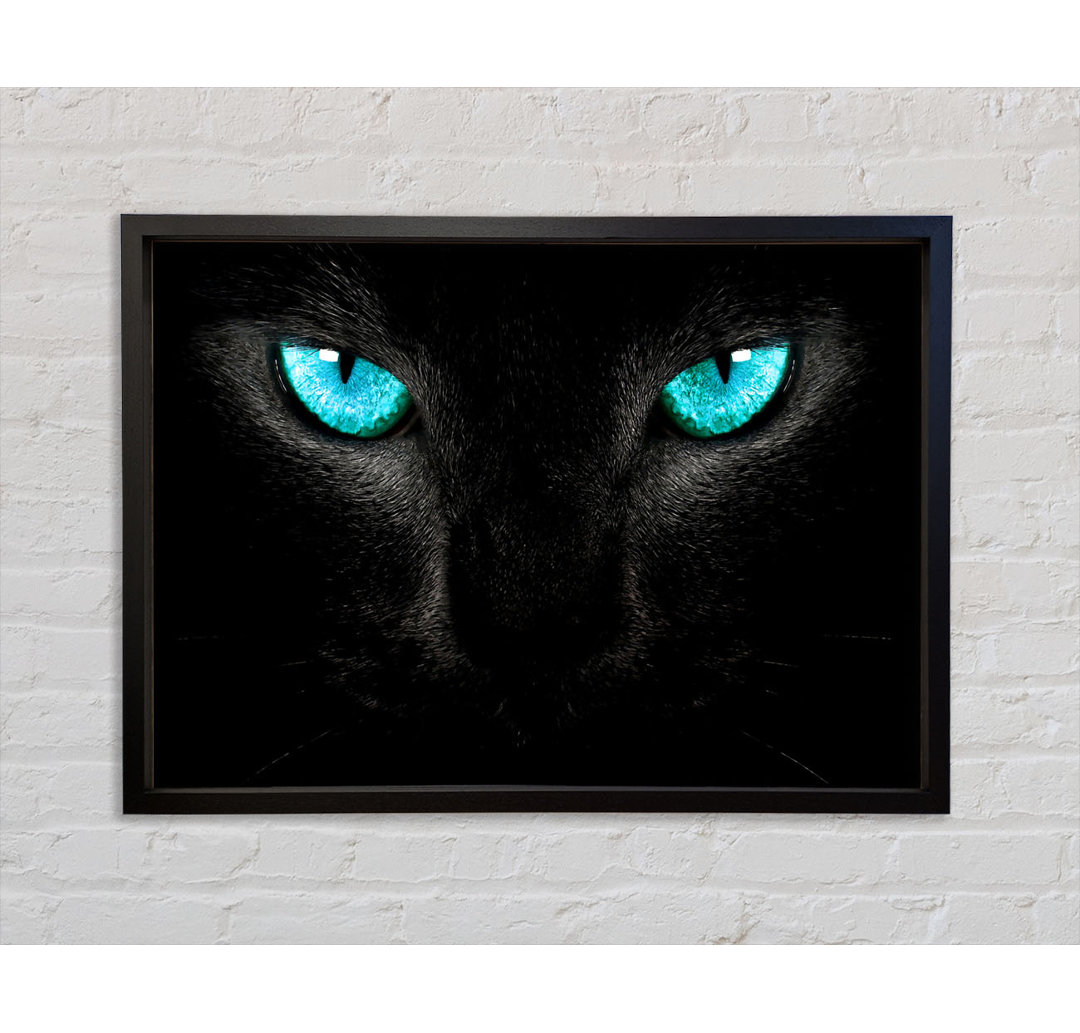 Blue Eyes Cat - Einzelne Bilderrahmen Kunstdrucke auf Leinwand