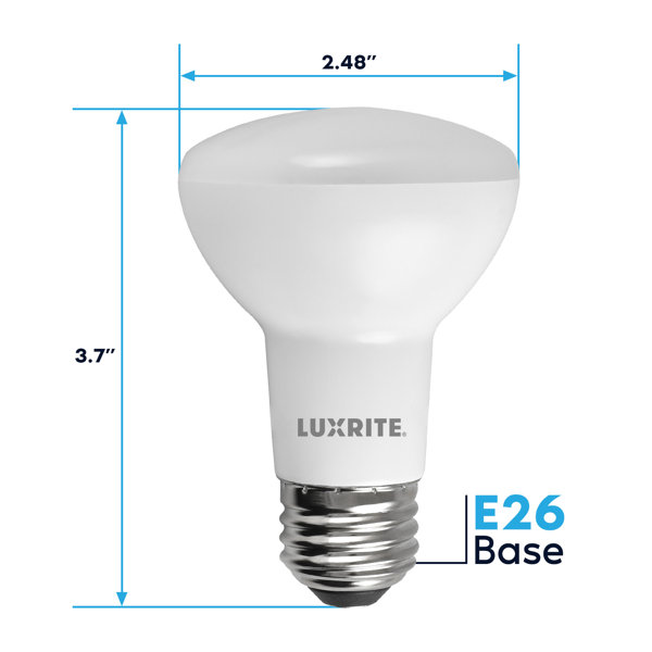 Luxrite 0.5 Watt S14 LED Colored String Light Bulb, E26/Medium (Standard)  Base