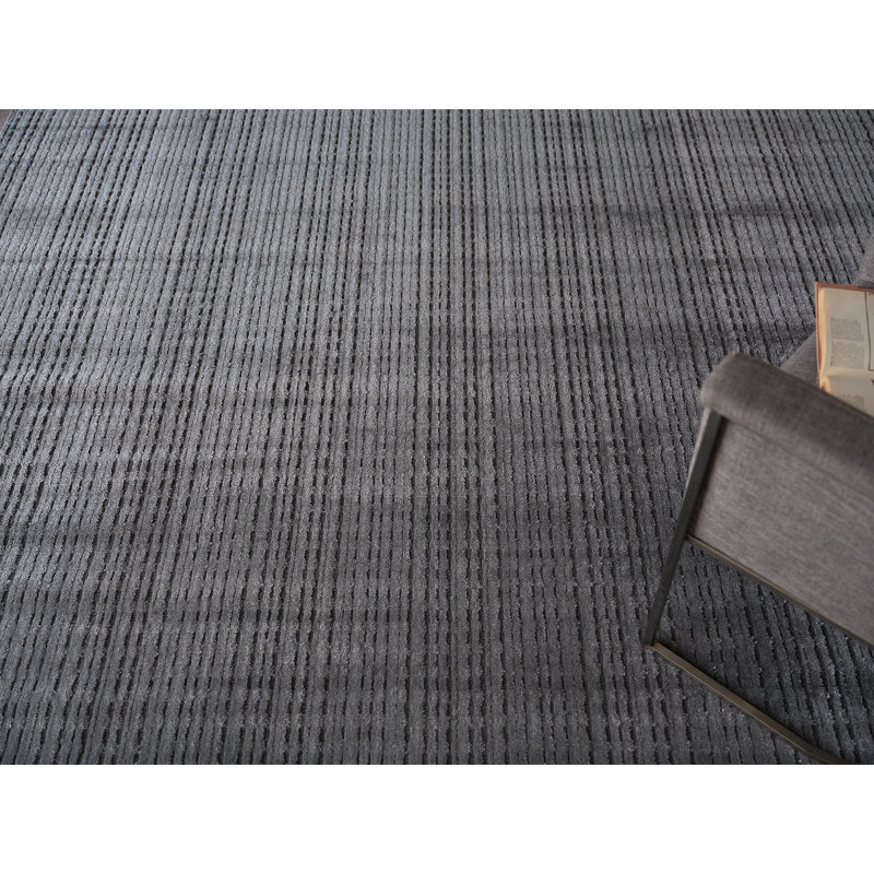 Cabrini Hand Loomed Silky Nilon Striped Area Rug in Gray, Rectangle 10' x 14'