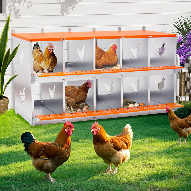Boîte de nidification en métal - Support mural pour poules / canards, collection et assemblage facile d'œufs, équipement de cage en acier galvanisé ventilé - orange