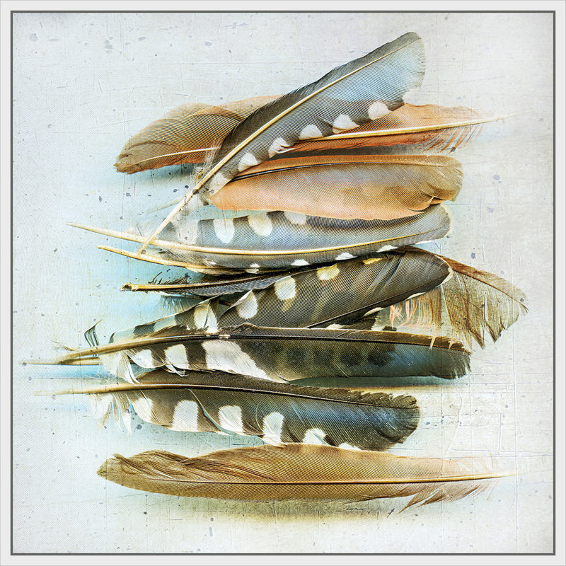 " Spotted Feather Study " Painting Print, White Framed, 38" H x 38" W x 2" D