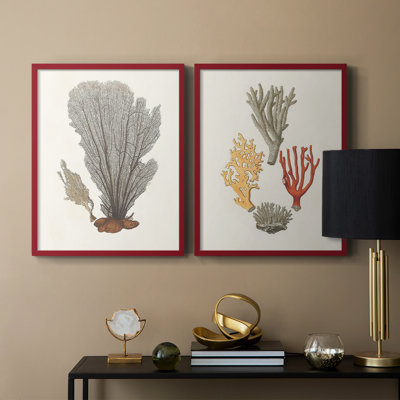 Knorr Shells & Coral III - reproduction encadrée de qualité supérieure - prête à être accrochée - aucun clou requis - aucun clou requis