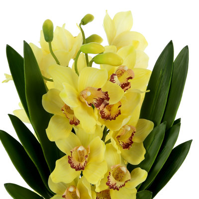 Arrangement floral orchidée avec pierres en pot en céramique