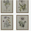 Ensemble de 4 impressions sur toile encadrées Botanical Illustration