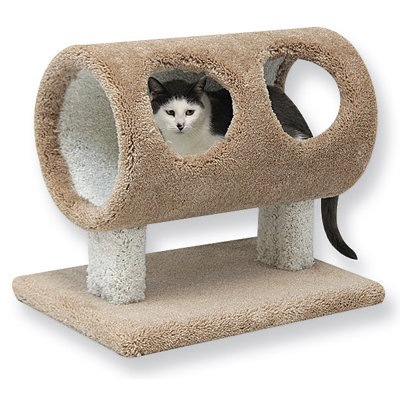 Huckabee 20'' H Cat Tree