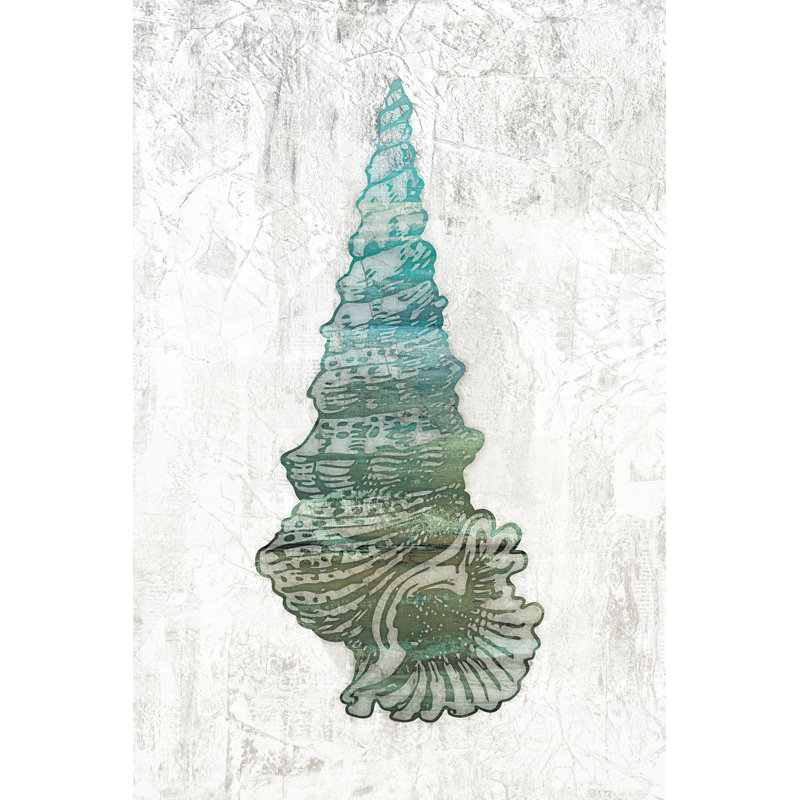 Blue Rustic Seashell - Wrapped Canvas Print, 122cm H x 81cm W x 3.8cm D