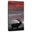 Coucher de soleil Elk Fiery-1995138065