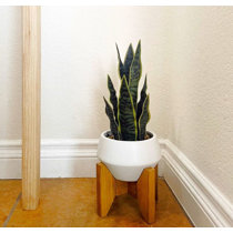 Wayfair  Snake plant Faux Plants You'll Love in 2024