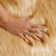 Nisar Indoor Rug