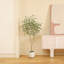 Adagio faux ficus avec pot de fleurs ovale blanc-281288367