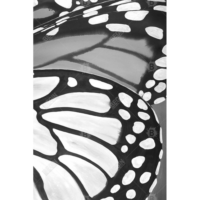 "Ailes de papillon en gros plan", H 36 po x l 24 po