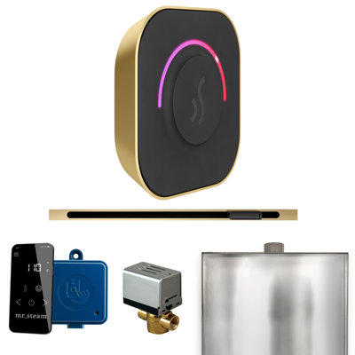 ButlerTouch Steam Shower Control Package with TempoTouch Control and Linear Steamhead 
