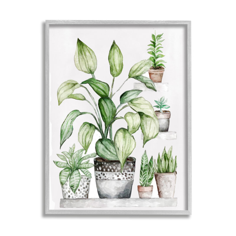 "Botanicals", plante en pot, encadrée sur bois par Ziwei Li, impression, H 30 po x l 24 po x P 1,5 po