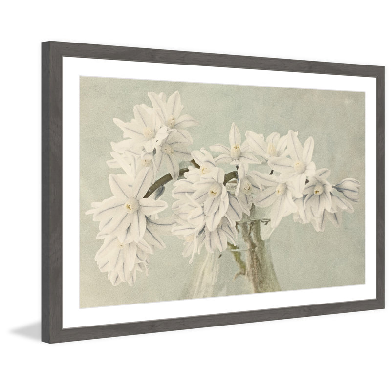 « white narcissus », reproduction d’art encadrée, H 24 po x l 36 po x P 1,5 po