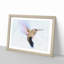 Flying Hummingbird Bird - Picture Frame Graphic Art Print-56712940-56712937