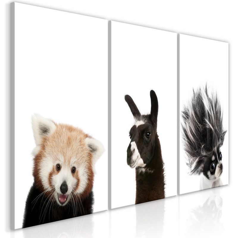 No Frame Print on Canvas, 30cm H x 60cm W