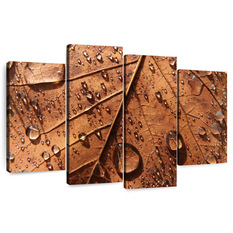 Gouttes de pluie Arney