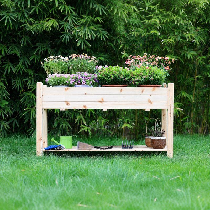 Très grand lit de jardin surélevé surélevé, Beige