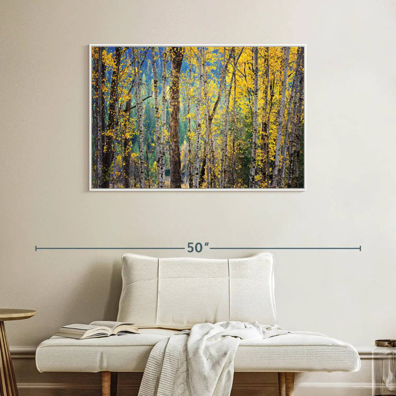 Kootenay Fall II, Cadre flottant blanc, 40 po x 27 po
