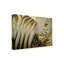 «Zebra Codex» par Cherie Roe Dirksen - peinture sur toile tendue-1323562399