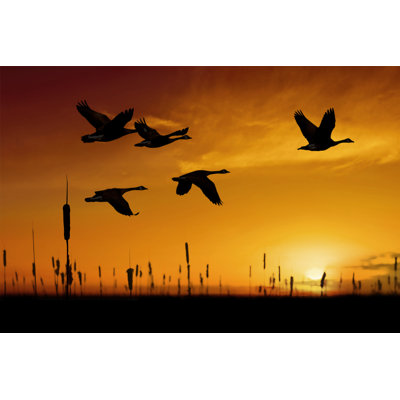 Migrating Canada Geese - Wrapped Canvas Print