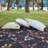 Hunter Amelia Square Outdoor Pillow Set-123843454