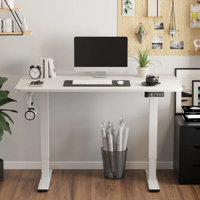 Jakyb Standing & Height-Adjustable Desks Latitude Run Color (Top/Frame): Oak Natural/White, Size: 46.46'' H x 55.12'' W x 23.62'' D