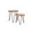 Montolio 2 Piece Nest of Tables