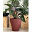 Pot à fleurs TruDrop-976139316-1057773137