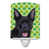 Australian Kelpie