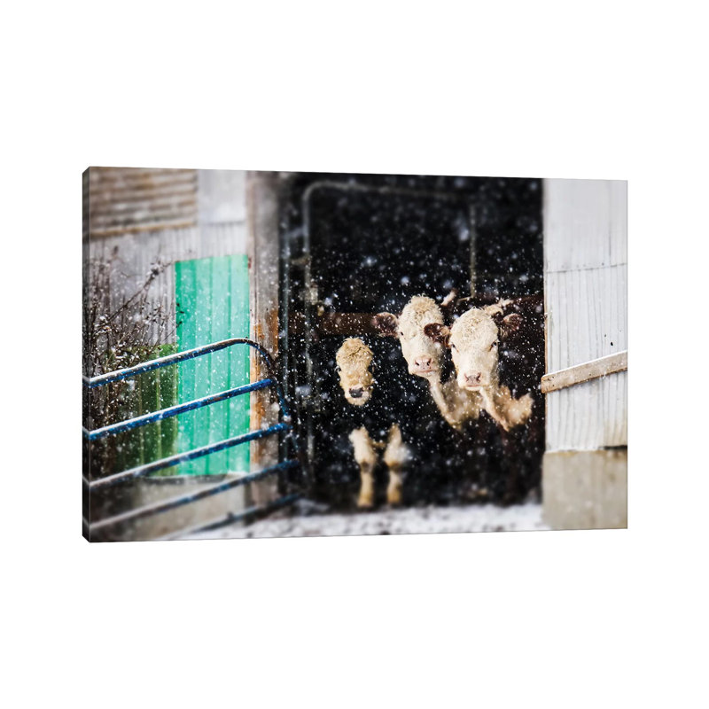 Barnyard Winter by Debbra Obertanec - Wrapped Canvas Gallery-Wrapped Canvas Giclée, 20.32 cm H x 30.48 cm W