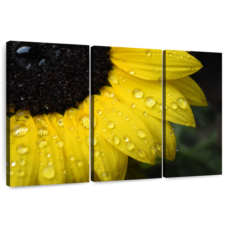 Harnek Dewy Sunflower, 24" H x 38" W
