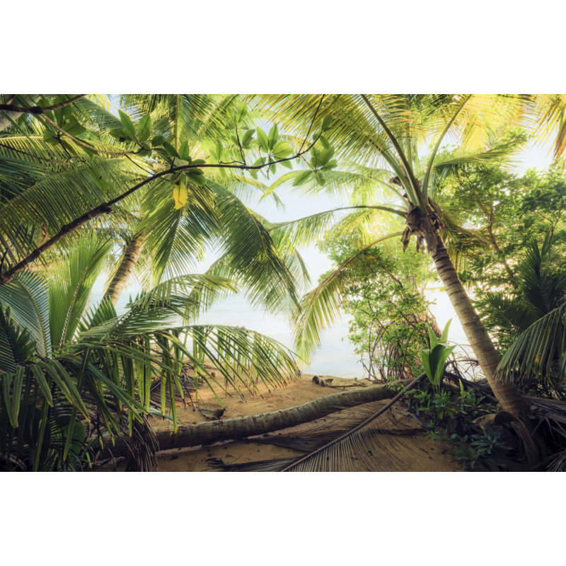 Wrapped Canvas Print, 50.8cm H x 76.2cm W