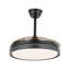 Maryann 42'' Retractable Ceiling Fan DC Motor with LED Lights and Remote-356128961