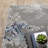 Abstract Rug-1996344027