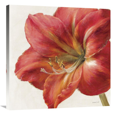 " Vivid Red Amaryllis " Mixed Media