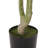 Faux Eucalyptus Tree in Planter-111988975