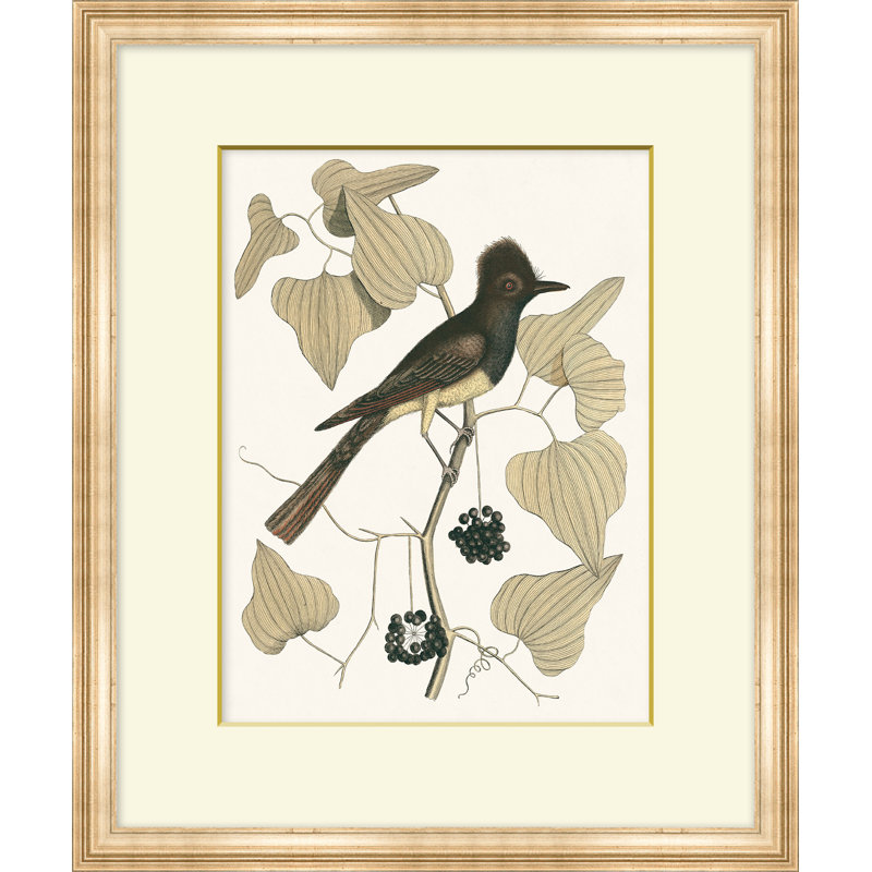 Summer Bird 8 Print