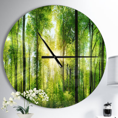 Forêt avec les rayons du soleil - horloge murale moderne