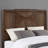 Asma Queen Low Profile Panel Bed